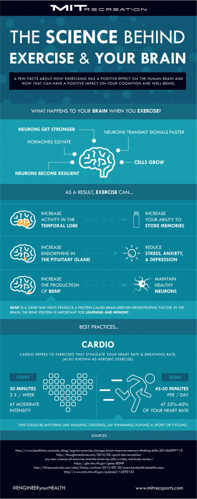 Example of an illustrative infographic about the benefits of exercise to our brains.