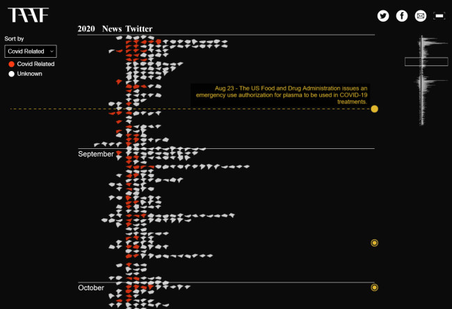 The Asian American Foundation Content Marketing Infographic